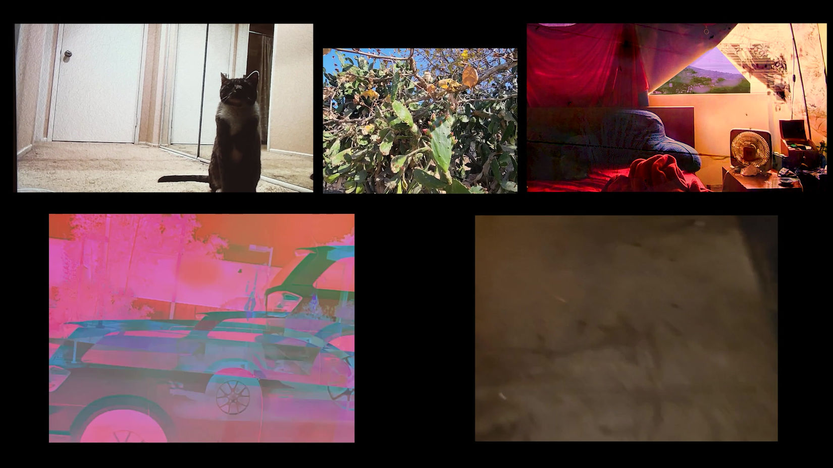 A Couple of Things I Saw a Few Times (intstallation videos/audio))